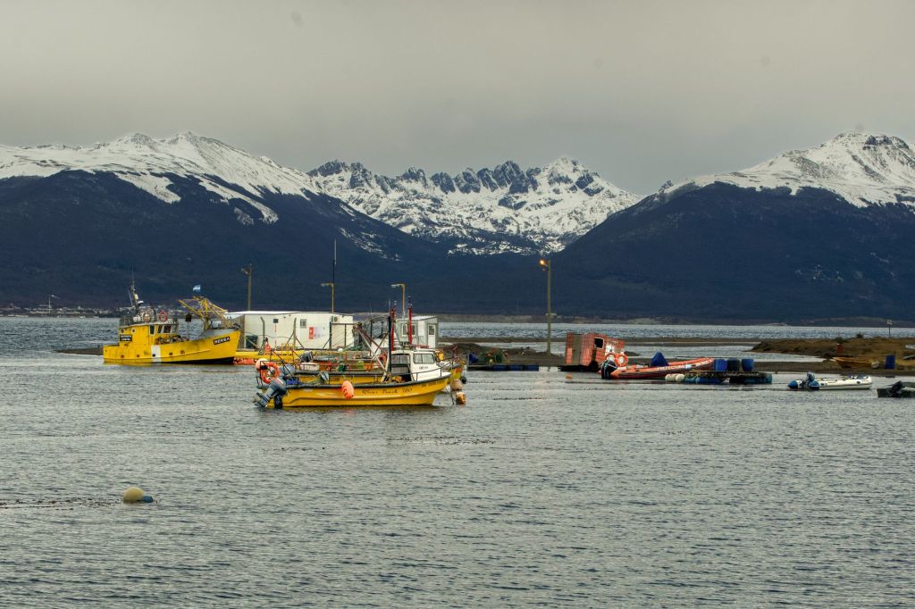 Sea Fresh pasa a manos de Aisa Group en apuesta por&nbsp;pesca